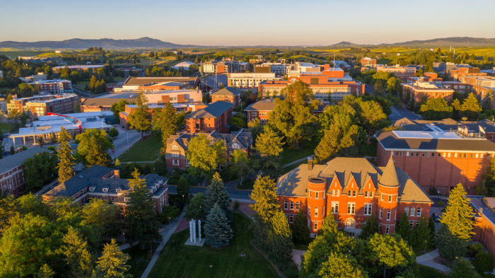 WSU
